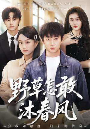 野草怎敢沐春风(61集) 野草怎敢沐春风(61集)红果短剧看全集