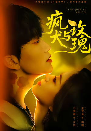 疯犬与玫瑰（80集）精彩的网络短剧