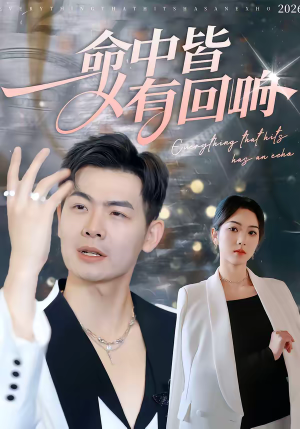 命中皆有回响(62集) 命中皆有回响(62集)全季一次看完