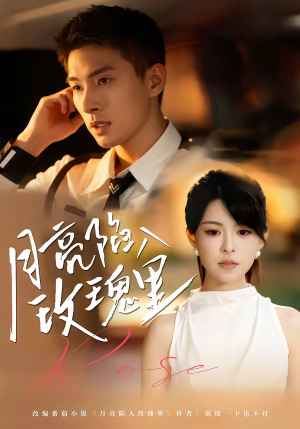 月亮陷入玫瑰里(60集) 月亮陷入玫瑰里(60集)深深爱上这部剧