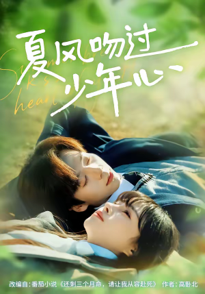 夏风吻过少年心（76集）在线免费观影