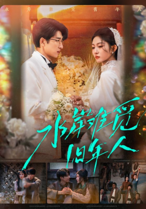 水岸难觅旧年人（68集）在线观看完整版