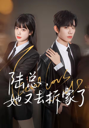 陆总，她又去拆家了（80集）短剧太好看了吧