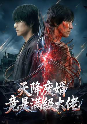 【天降废婿竟是满级大佬】58集精彩短剧免费在线观