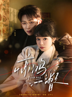 惊鸿一瞥（72集）夸克网盘观看