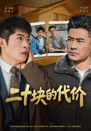 二十块的代价（64集）最后的大结局