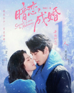 暗恋成婚(60集) 暗恋成婚(60集)真的太好看了