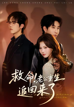 救命！老公重生追回来了（40集）在线看到大结局
