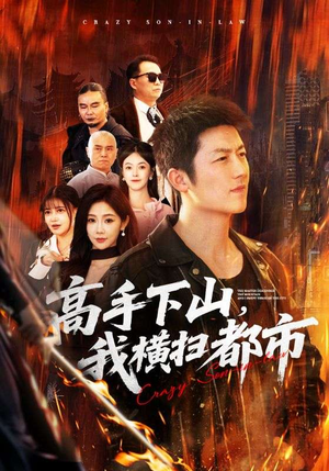 【高手下山，我横扫都市】69集短剧免费在线赏播