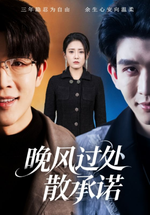 【晚风过处散承诺】65集精彩短剧在线观瞧