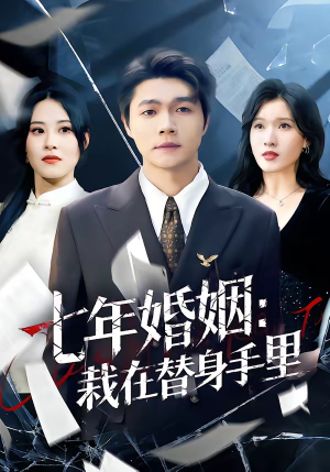 七年婚姻：栽在替身手里（80集）推荐你们也去看