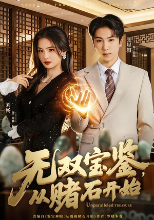 【无双宝鉴，从赌石开始】70集短剧免费全集速看