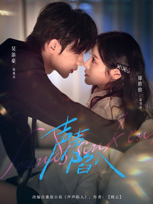 【声声陷入】73集优质短剧免费在线观