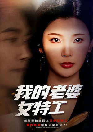 【我的老婆女特工】62集优质短剧免费全集观览