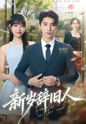 新岁辞旧人（76集）第三季