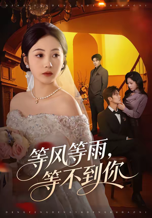 【等风等雨，等不到你】65集短剧在线免费完整观看