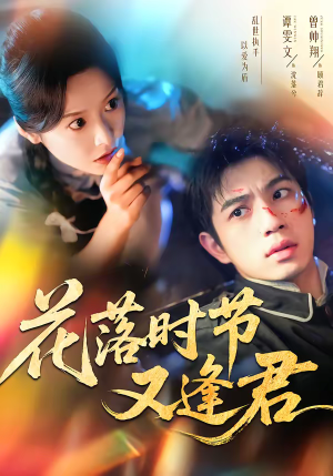 花落时节又逢君（61集）短剧分享片段