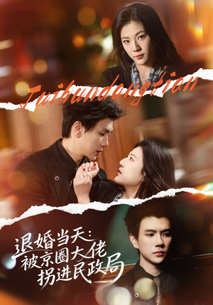 【退婚当天：被京圈大佬拐进民政局】80集短剧免费全集赏看