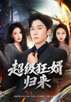 超级狂婿归来(81集) 超级狂婿归来(81集)精彩短剧合集