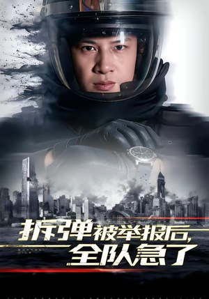 拆弹被举报后，全队急了（50集）网盘在线观看