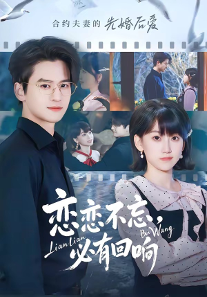 【恋恋不忘，必有回响】80集高清短剧在线免费观看