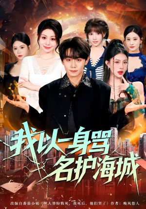 我以一身骂名护海城（79集）迅雷网盘观看