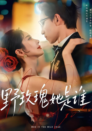 野玫瑰她是谁（84集）每日短剧追不停