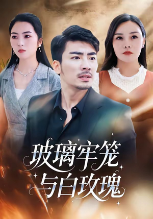 玻璃牢笼与白玫瑰（75集）第一季
