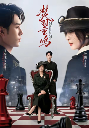 【焚羽重鸣】60集免费短剧在线完整观