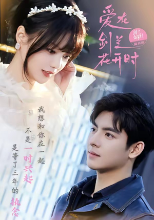 【爱在剑兰花开时】56集短剧在线免费高清览