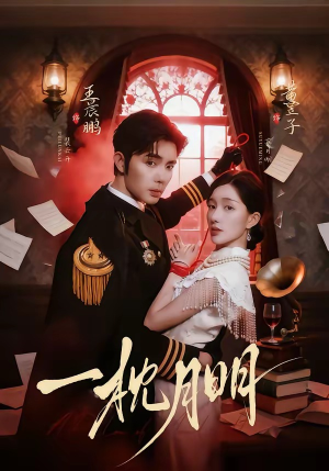 【一枕月明】65集短剧免费全集畅快看