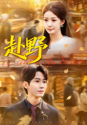 赴野（40集）爆款短剧一起追