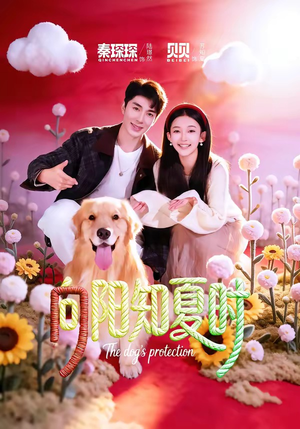 【向阳知夏时】80集热门短剧免费在线观看