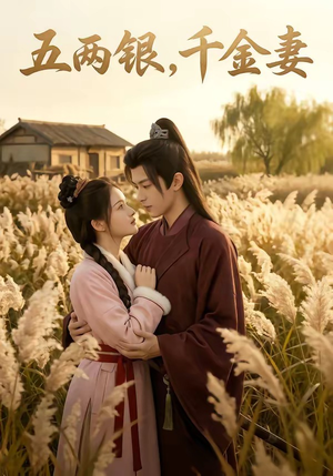 五两银，千金妻（60集）热播短剧排行榜