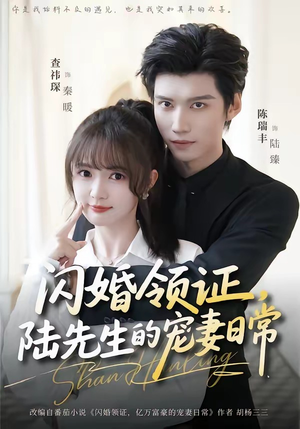 闪婚领证，陆先生的宠妻日常（86集）短剧前十排行榜