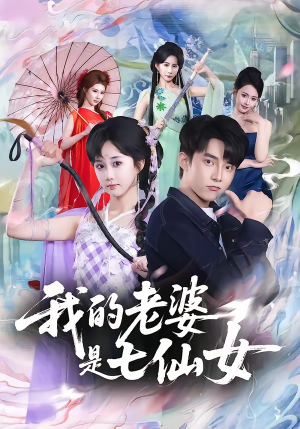 我的老婆是七仙女（57集）评价怎么样