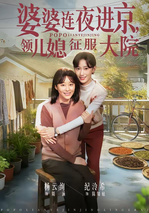 【婆婆连夜进京，领儿媳征服大院】78集短剧全集免费观映