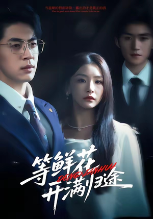 【等鲜花开满归途】61集免费短剧在线速看