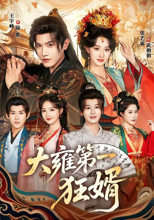 大雍第一狂婿（90集）免费短剧看不停