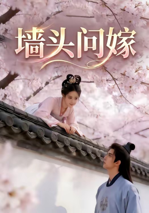 【墙头问嫁】29集优质短剧在线免费赏看