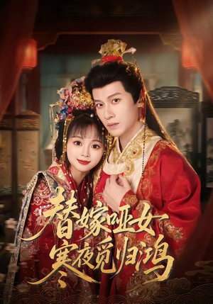 【替嫁哑女寒夜觅归鸿】65集短剧免费完整观看