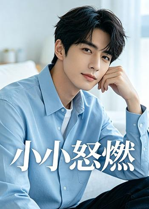 【小小怒燃】19集短剧免费在线观看无广告