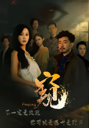 窥（37集）百度网盘在线看