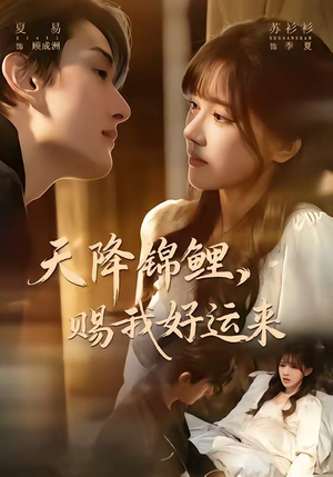 天降锦鲤，赐我好运来（60集）越看越好看短剧