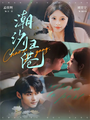 潮汐归港（66集）热门短剧来袭