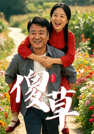 傻草（71集）精彩短剧来了