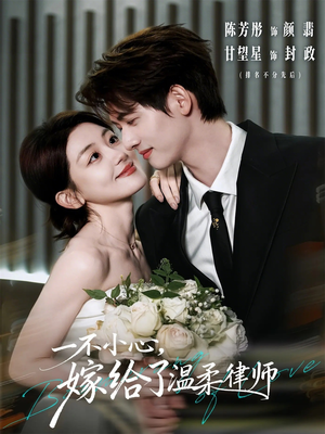 一不小心，嫁给了温柔律师（65集）视频在线看