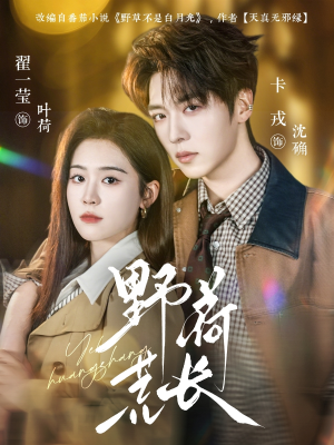 【野荷荒长】86集热门短剧免费在线赏