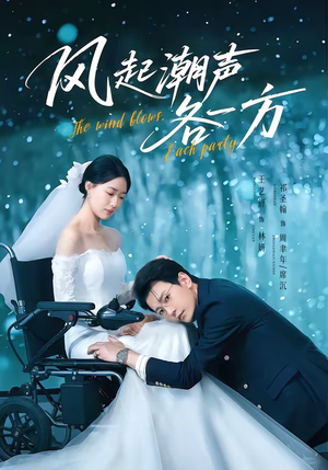 【风起潮声各一方】84集免费短剧全集畅快观看