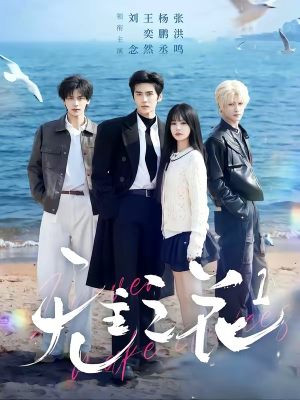 【无主之花1】72集短剧免费高清在线看